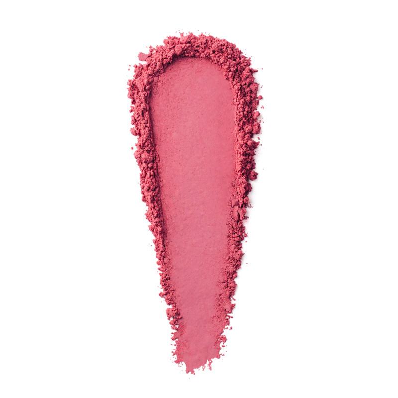 Bobbi Brown Blush Powders 