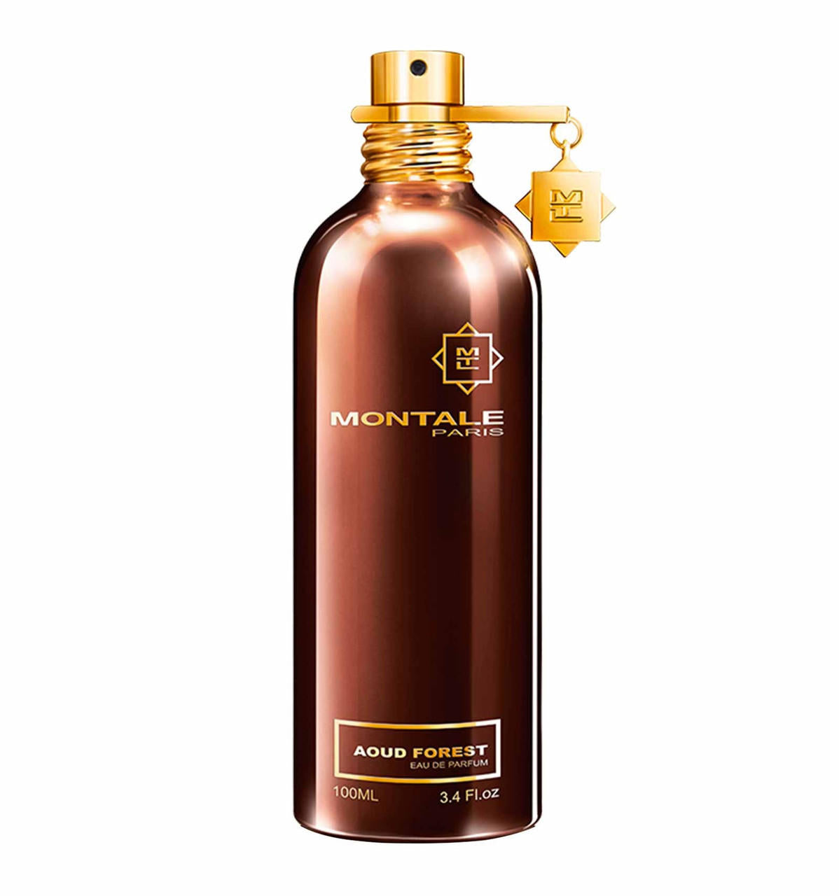 Montale Paris AOUD FOREST Eau de Parfum 100 ML